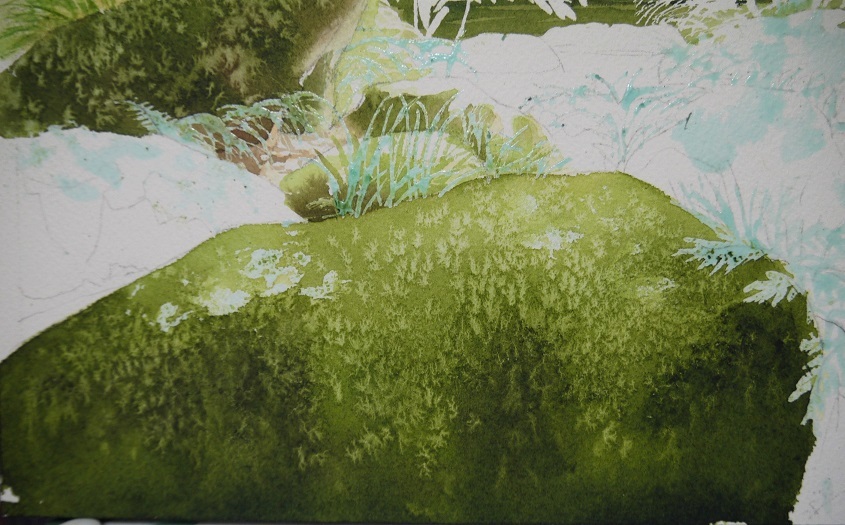 久しぶりに苔むした風景と苔むした岩のワンポイント 小林啓子水彩画の部屋 久しぶりに苔むした風景と苔むした岩のワンポイント 小林啓子水彩画の部屋