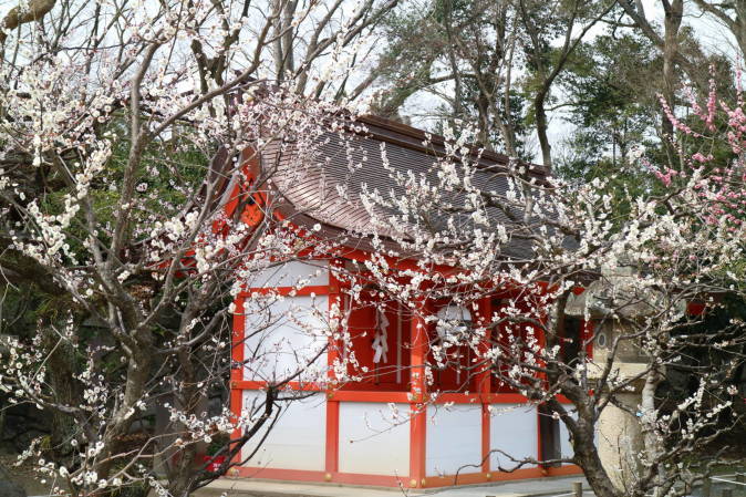 f0075595_21413739.jpg