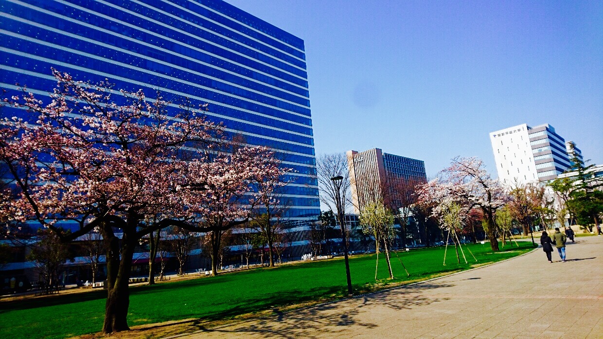 桜ボチボチ、スウィーツ日和_c0202101_09202812.jpg