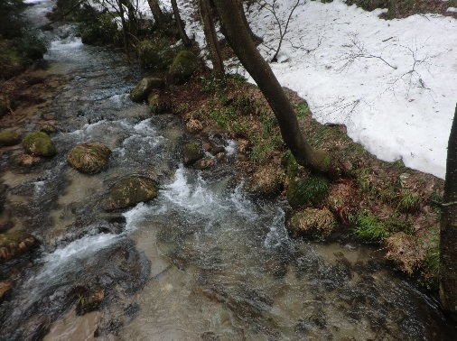 雪山はしんどい！_d0299604_12153875.jpg