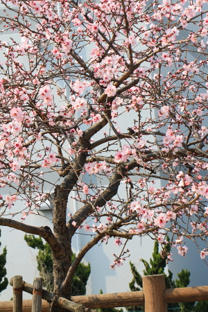 a0251508_22984.jpg