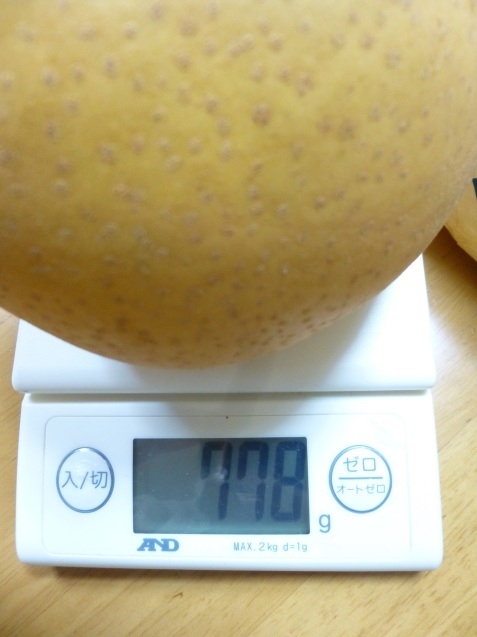 b0198109_21465069.jpg
