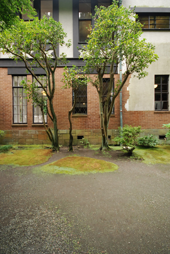 c0195909_14295630.jpg