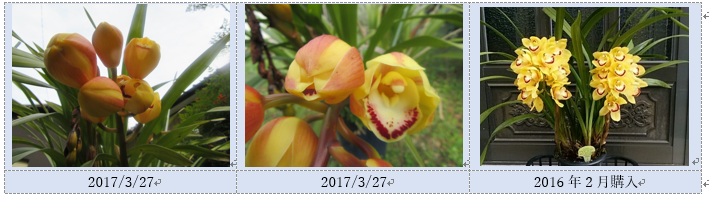 f0231709_11271053.png