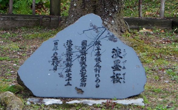 a0133211_20564613.jpg