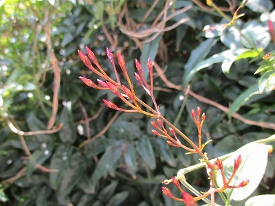 e0373815_11051129.jpg