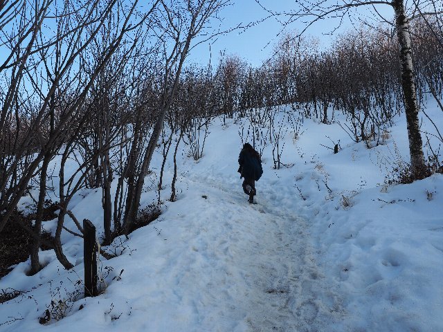 a0347317_10115067.jpeg