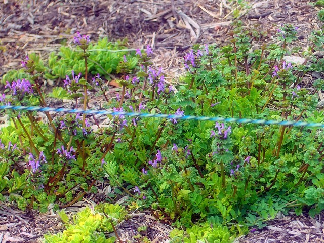 d0295818_01451201.jpg
