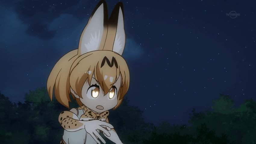 c0137122_05352962.gif