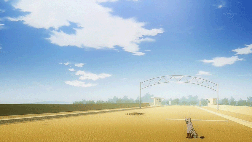 c0137122_05362445.gif
