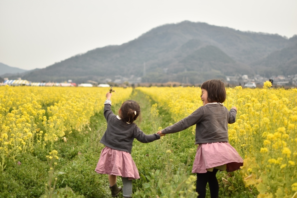 連休最終日・菜の花畑編_a0274324_06235290.jpg