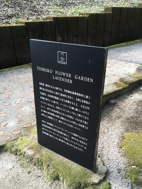 e0303726_17105610.jpg