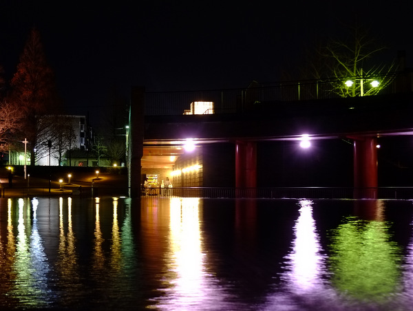 「富山・アートなとやま旅 夜の環水公園、富山湾鮨、西町大喜の富山ブラックラーメン」_a0000029_17134175.jpg