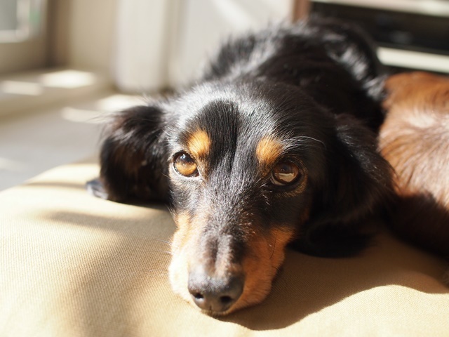 c0117831_17021571.jpg