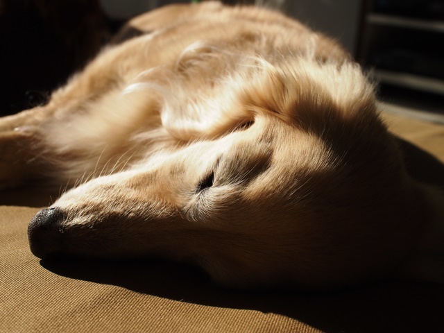 c0117831_17022969.jpg