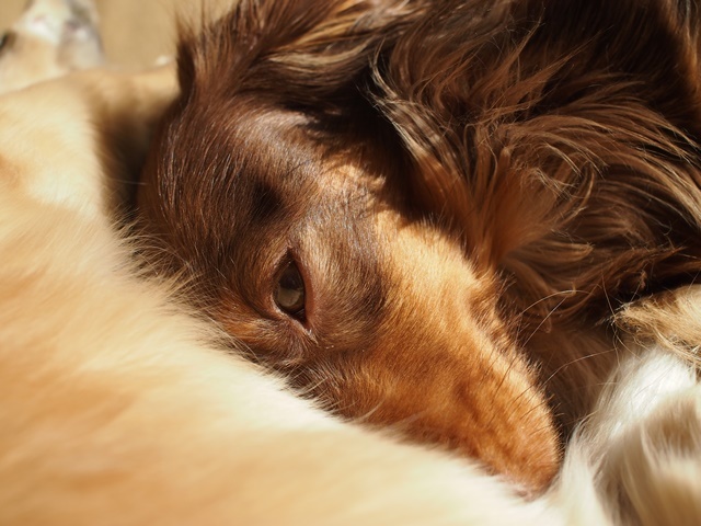 c0117831_17030459.jpg