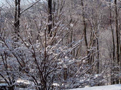 a0267332_14575710.jpg