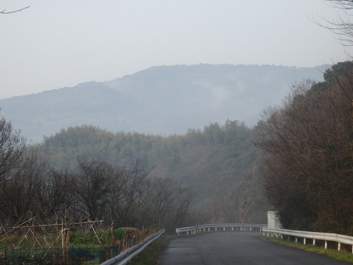 a0054240_20353584.jpg