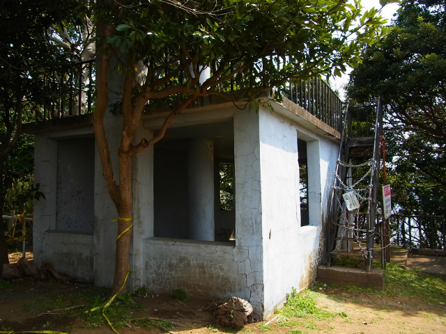 a0087341_22425250.jpg