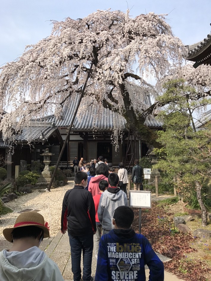 企画・・・犬山祭り・・・行くぞ~_f0065444_2037262.jpg