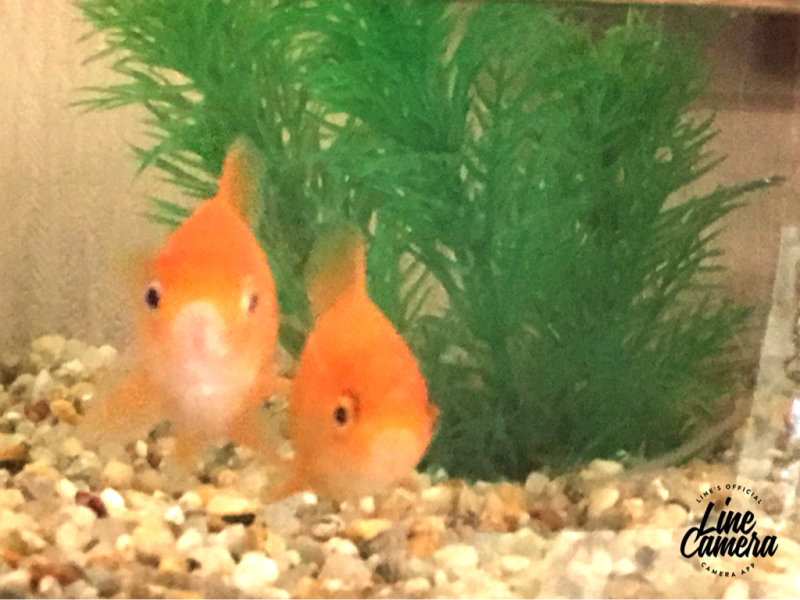 私は…^ ^_d0358545_01080313.jpg