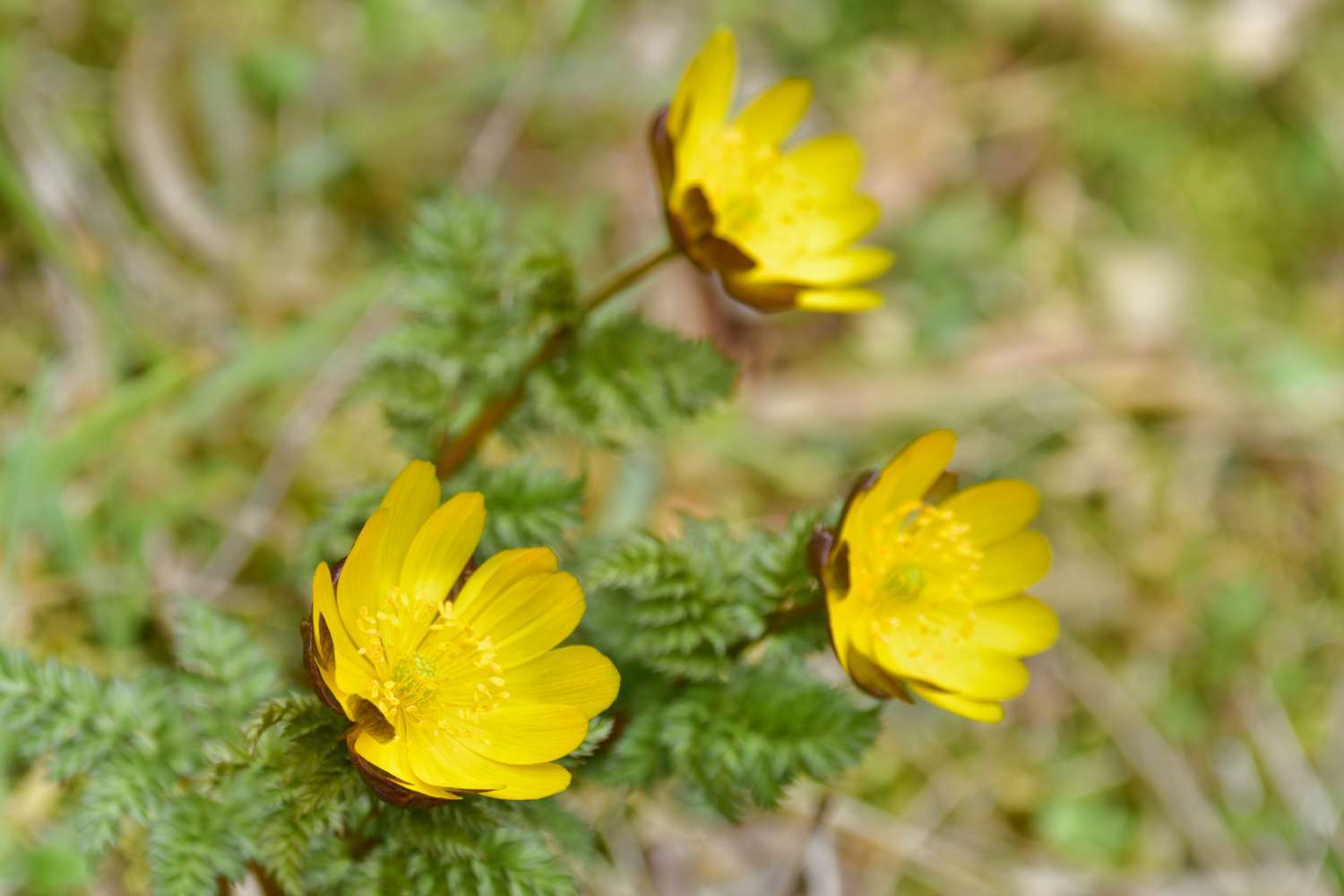 d0286954_18102265.jpg