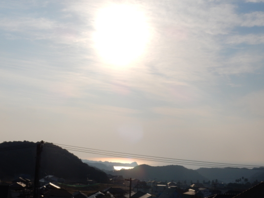 ’17,3,30(木)樹木の息吹と海老フライランチ!_f0060461_10153836.jpg