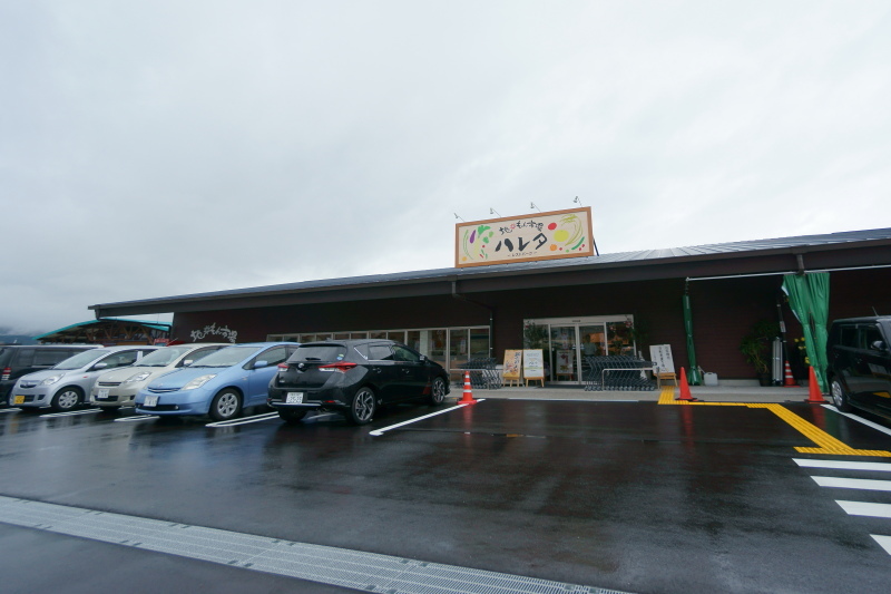 地のもん市場ハレタ_a0077663_06240649.jpg