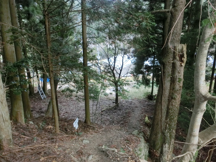 b0185573_113670.jpg