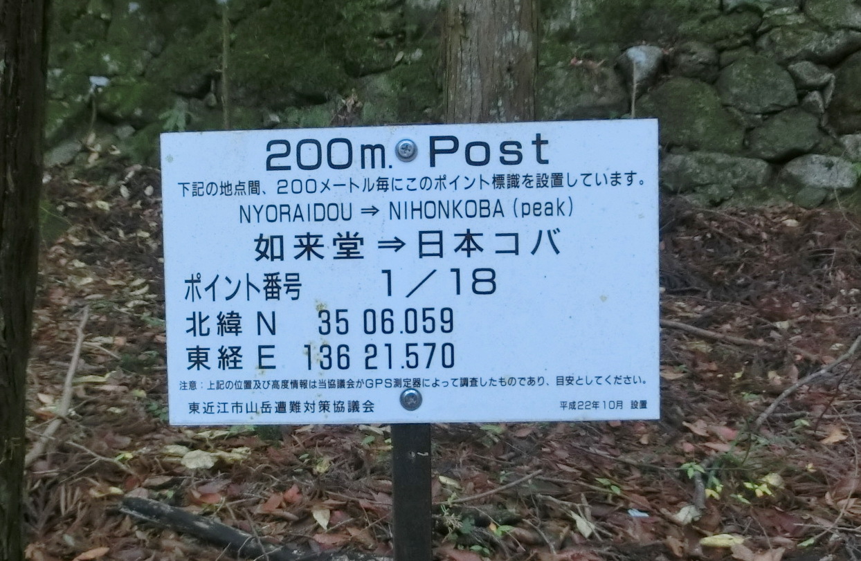 No462 滋賀　鈴鹿山系・ちょっと変わった名前の日本コバ_b0185573_1150110.jpg