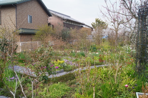 e0181373_21224708.jpg