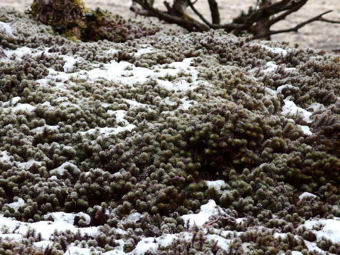 f0371079_06083124.jpg
