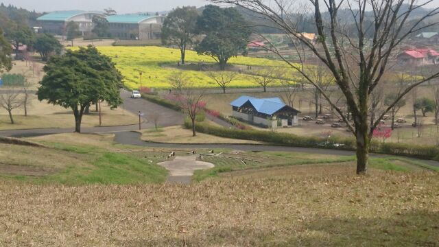 b0338781_21081880.jpg