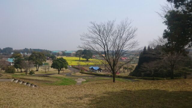 b0338781_21085614.jpg