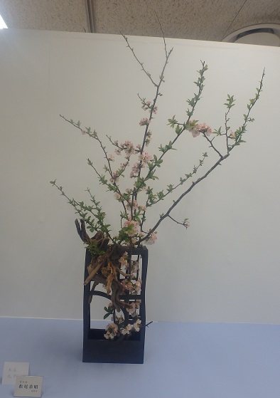 西日本華道連盟いけばな展 前期 _d0195183_2142569.jpg