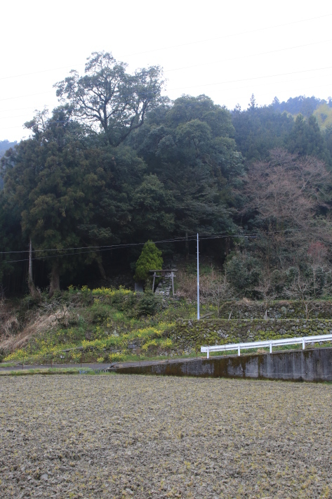 c0358784_12312943.jpg
