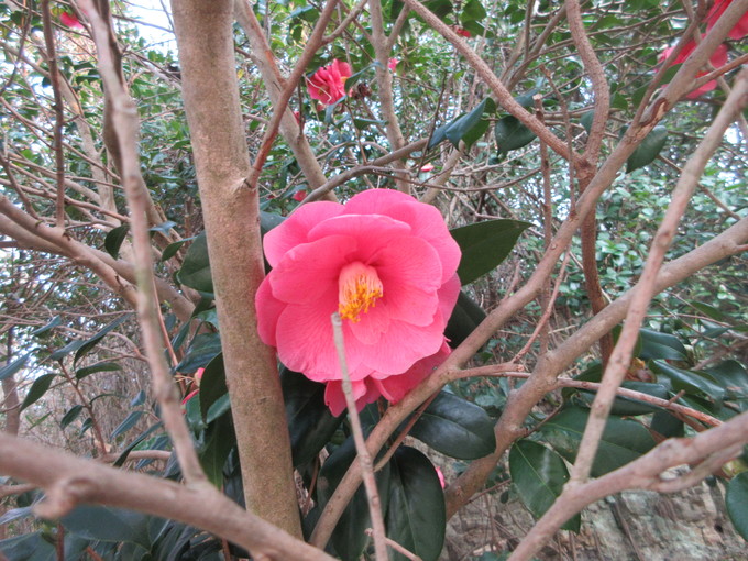 f0053885_2034015.jpg