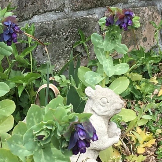 b0336787_00493054.jpeg