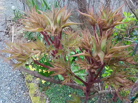 b0266191_10560911.jpg