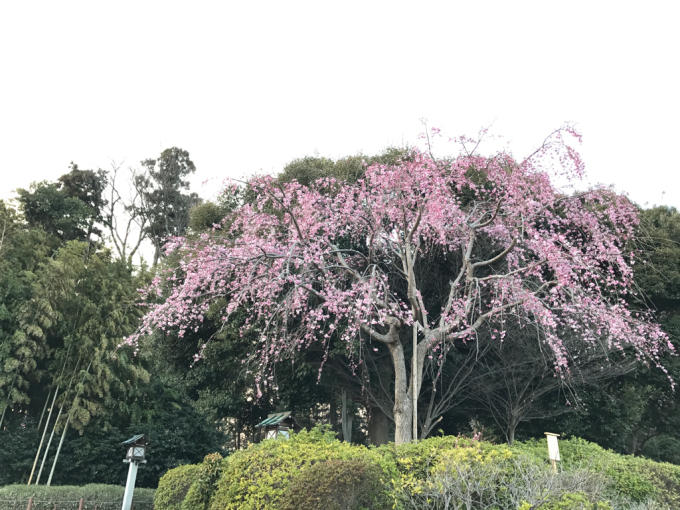 f0321291_08380100.jpg