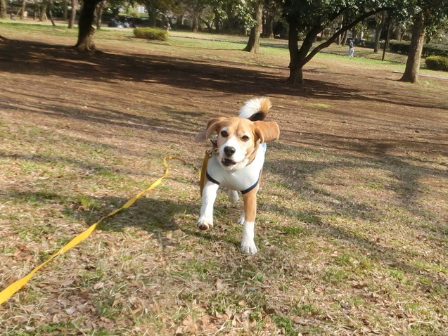 a0319693_8383437.jpg