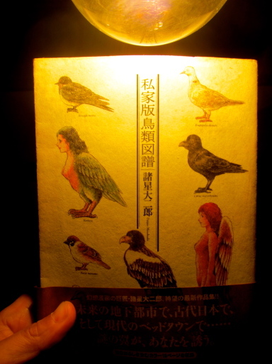 鳥の遊び 木琴の上で 作曲家 平野一郎のブログ