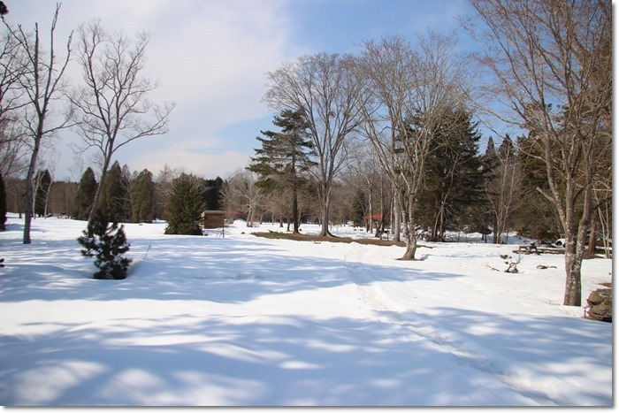 f0146493_14062437.jpg