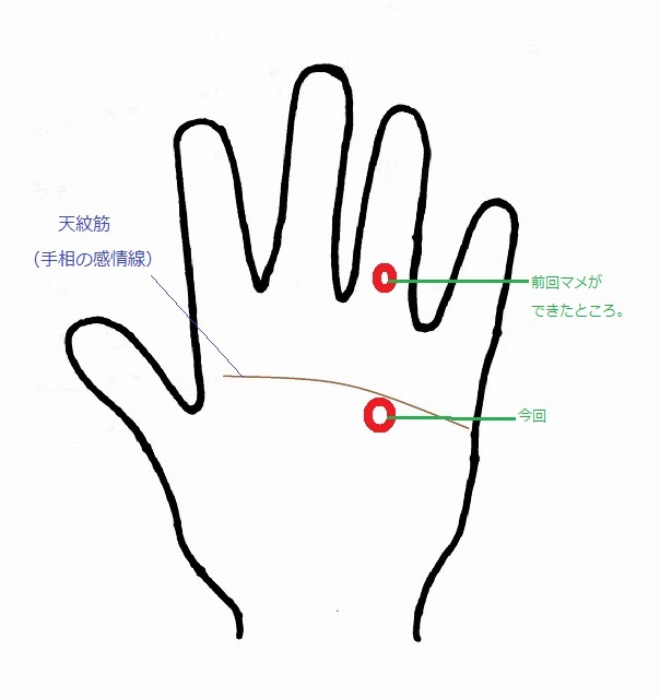 弓道体験 42回目 お休みの日は お散歩行こう