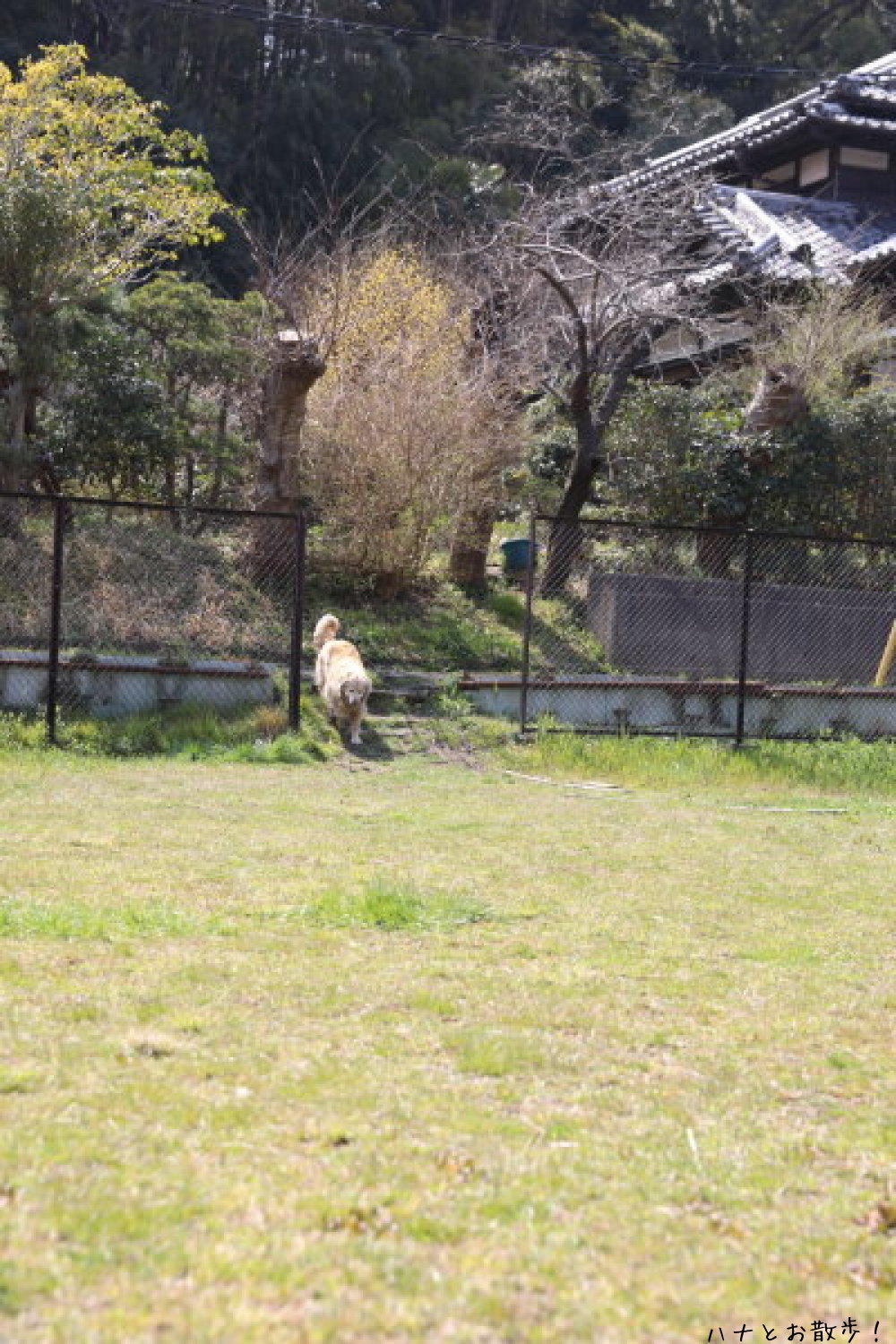 b0275998_13554147.jpg