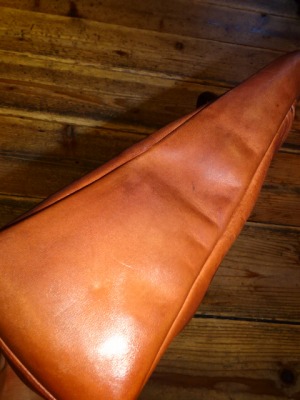 COACH_d0176398_203592.jpg
