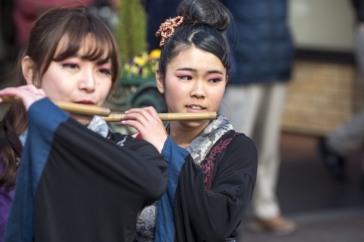 2017　浜松がんこ祭『麗人艶舞乱れ打ち』_f0184198_14264526.jpg