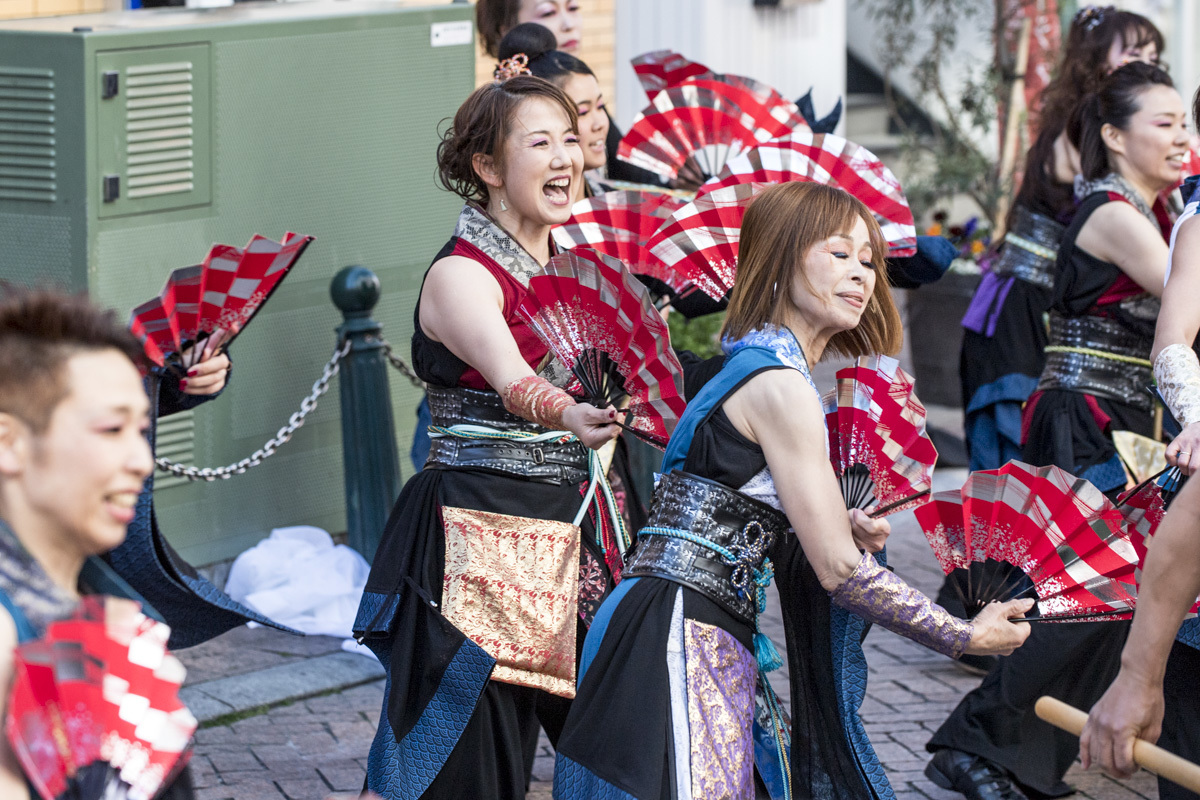 2017　浜松がんこ祭『麗人艶舞乱れ打ち』_f0184198_14270276.jpg