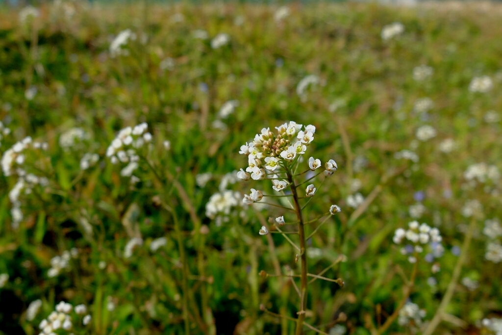 e0304001_18345193.jpg
