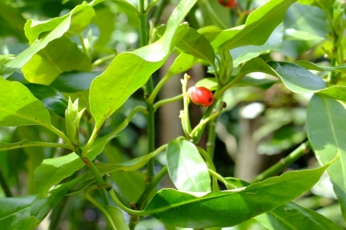 e0304001_21475808.jpg